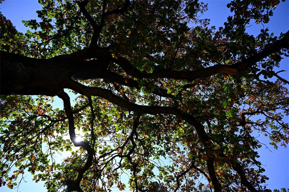 Das Wetter in Bayern bleibt durchwachsen. (Archivbild)A4366 Sven Hoppe/dpa