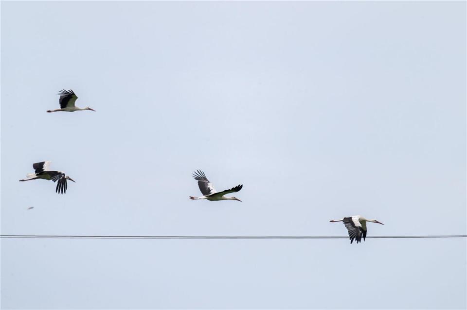 Das Wetter in Bayern stabilisiert sich. Pia Bayer/dpa