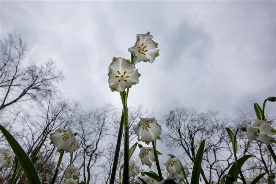 Das Wetter in Deutschland zeigt sich in den kommenden Tagen von seiner ungemütlichen Seite. (Symbolbild)Thomas Warnack/dpa