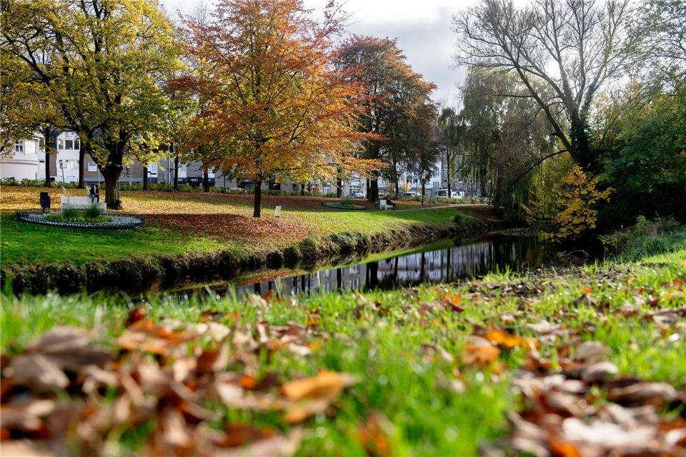 Das Wetter in Norddeutschland bleibt zunächst freundlich, ab Freitag wird es stürmischer und kühler. (Symbolbild)Hauke-Christian Dittrich/dpa