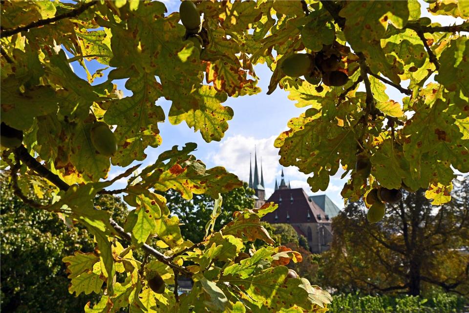 Das Wetter war im Herbst in Thüringen mild. (Symbolbild)Martin Schutt/dpa