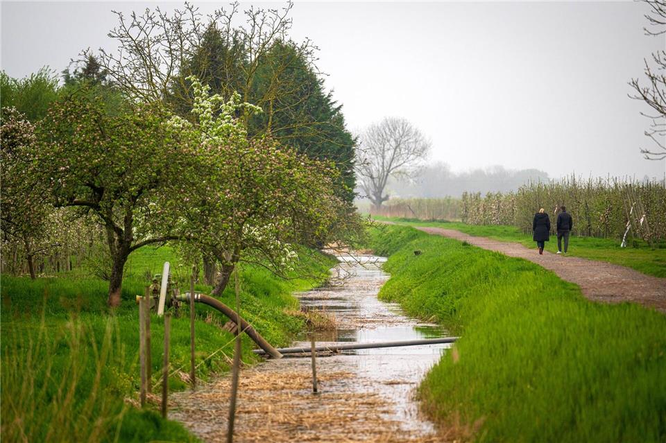 Das Wetter wird am Sonntag und zum Wochenstart kälter, regnerisch und vereinzelt sogar gewittrig. (Symbolbild)Sina Schuldt/dpa