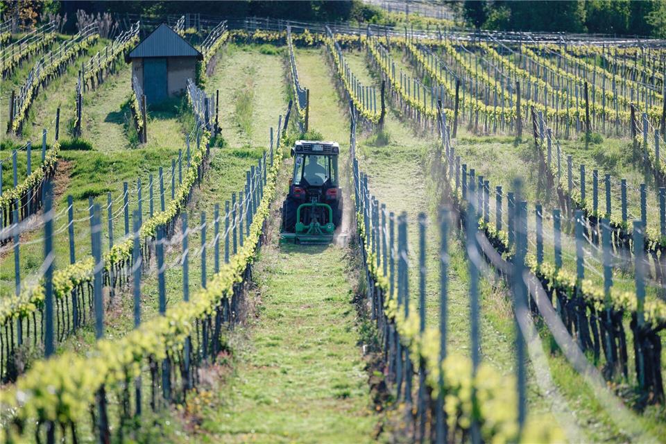 Das Wetter wird sonnig im Südwesten. (Archivbild)Uwe Anspach/dpa