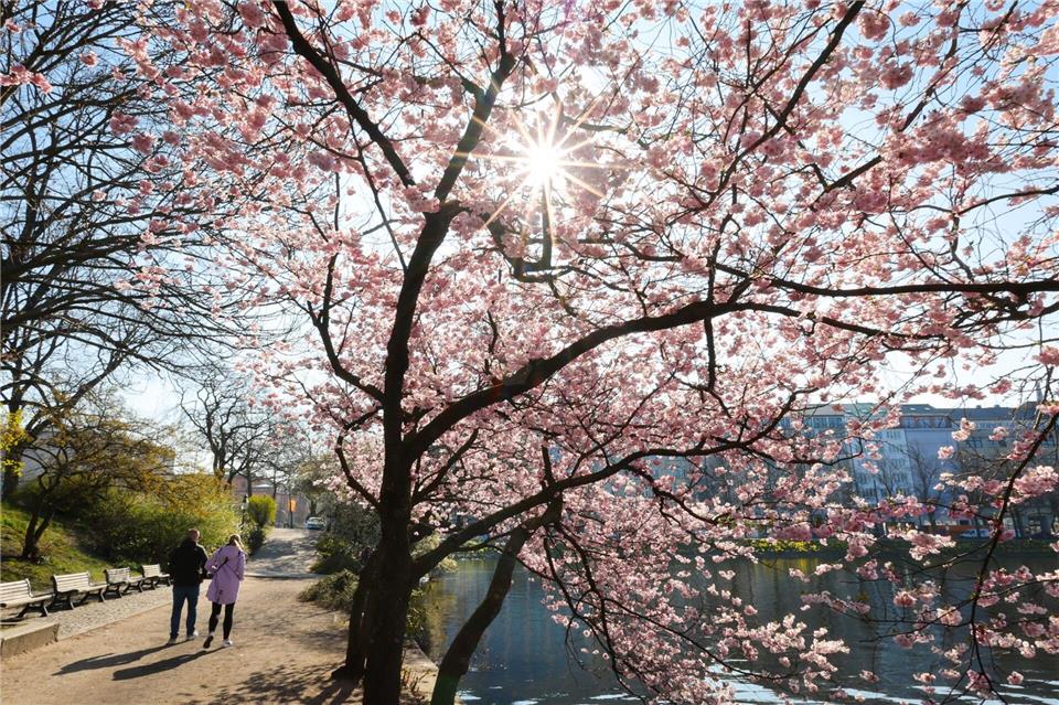Das Wetter zeigt sich im Norden am langen Pfingstwochenende sommerlich. (Archivbild)Christian Charisius/dpa