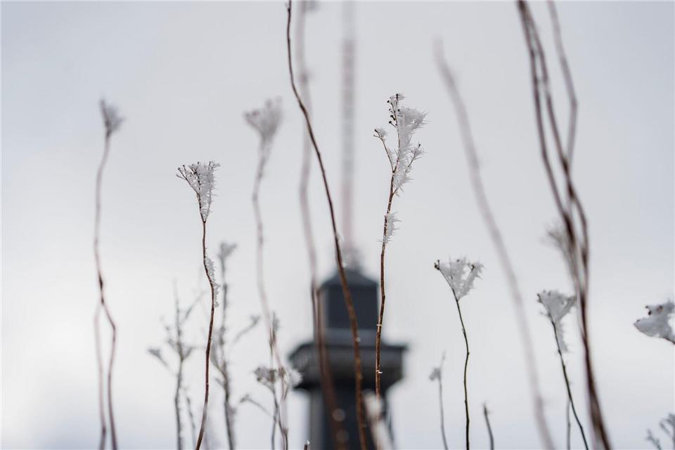 Das Wetter zum Wochenende wird wechselhaft.Andreas Arnold/dpa