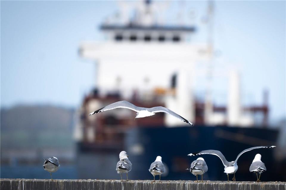 Das Wetter zum Wochenende wird wechselhaft.Philip Dulian/dpa