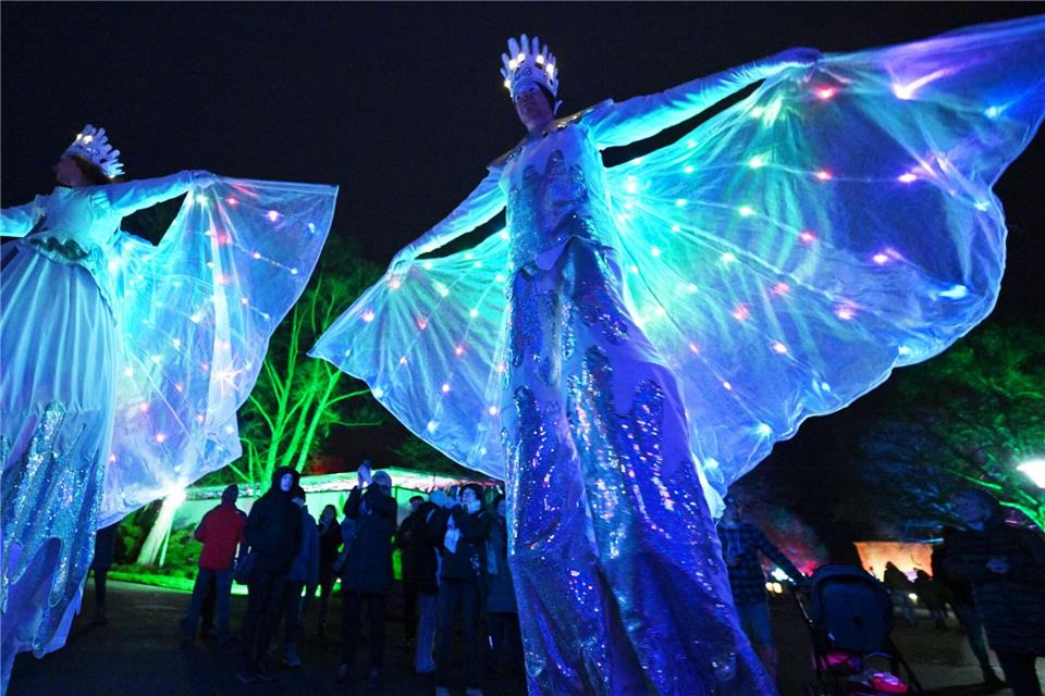 Das Winterleuchten hat im Erfurter egapark schon Tradition. Auch in dieser Saison wird es wieder ein Leucht-Spektakel geben. (Archivbild)Martin Schutt/dpa