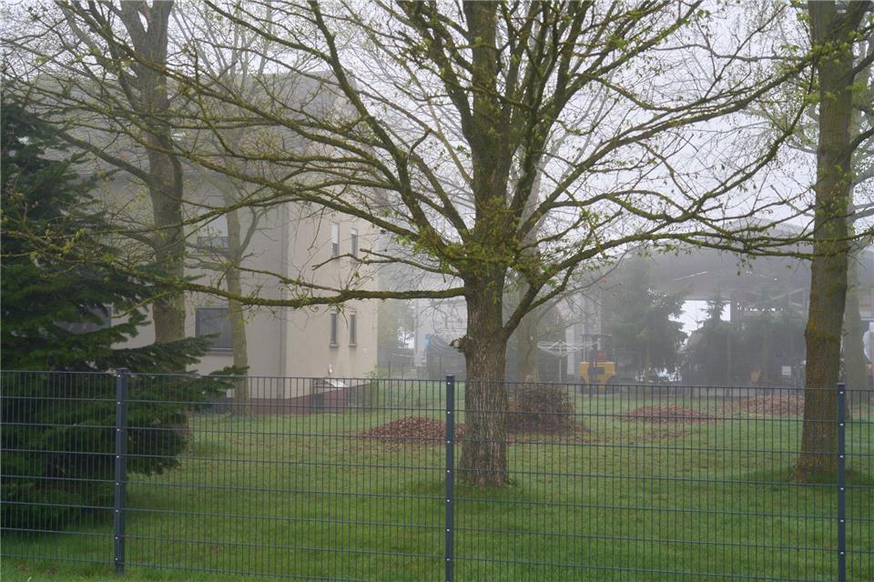 Das Wohnhaus auf dem Gelände der Lederfabrik liegt am Morgen im Nebel. Sascha Ditscher/dpa