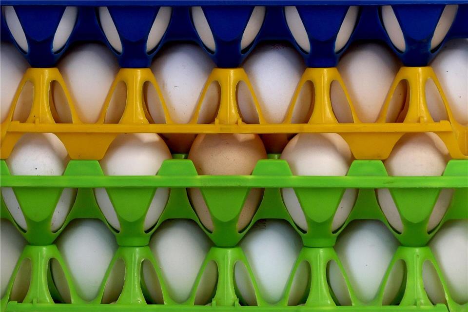 Das demnächst große Mengen Eier aus Deutschland in die USA exportiert werden, glaubt der Chef des Bundesverbands Ei, Hans-Peter Goldnick, nicht. (Archivbild)Karl-Josef Hildenbrand/dpa