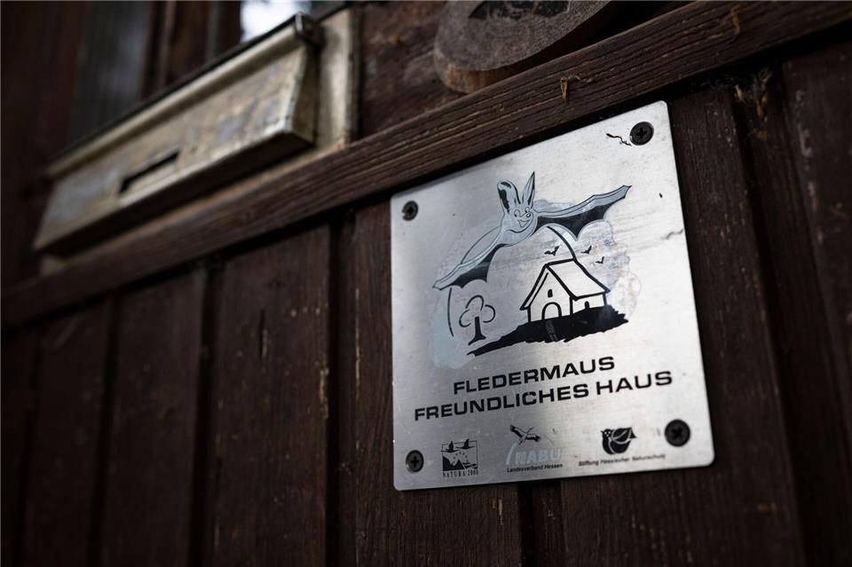Das ehemalige Bahnhofsgebäude beherbergt eine Mausohrkolonie.Hannes P. Albert/dpa