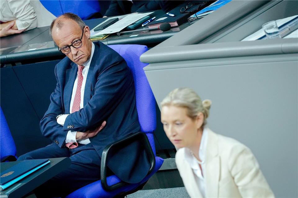 Erst Generaldebatte, dann Grillfest Das erste Rededuell zwischen Merz und Weidel in einer Generaldebatte im Juli wurde zu einem heftigen Schlagabtausch.Kay Nietfeld/dpa