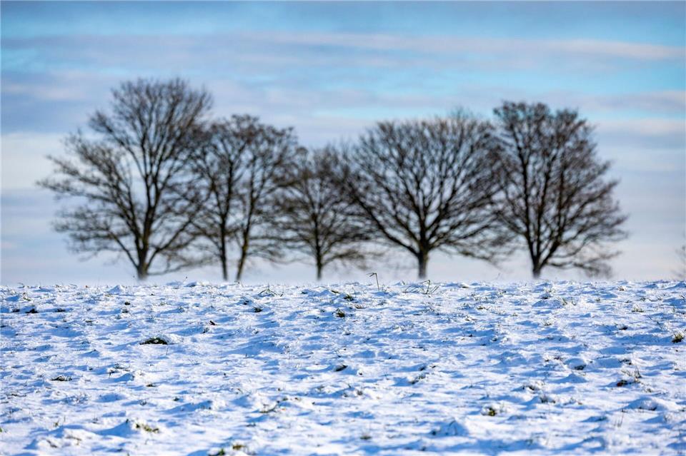 Das frostige, aber sonnige Wetter lockte viele Menschen nach draußen.Thomas Banneyer/dpa