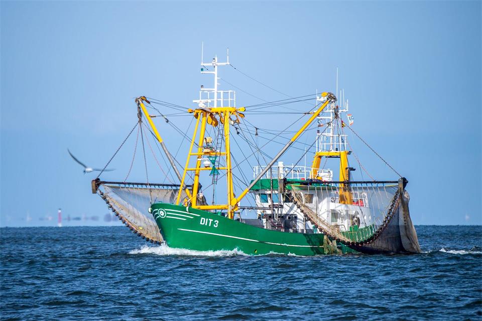 Das für die Fischerei nutzbare Gebiet soll schrumpfen. (Symbolbild)Sina Schuldt/dpa
