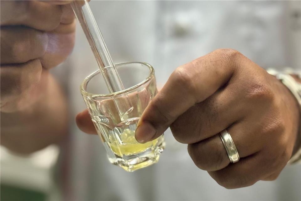 Das gefährliche Gift ist gelblich und zäh - und wichtig für die Produktion von Antiserum.Carola Frentzen/dpa