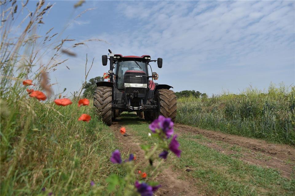 Das große Ziel ist es, den Artenschutz zu verbessern und diesen in Einklang zu bringen mit einer wettbewerbsfähigen Landwirtschaft. (Archivbild)Simon Kremer/dpa
