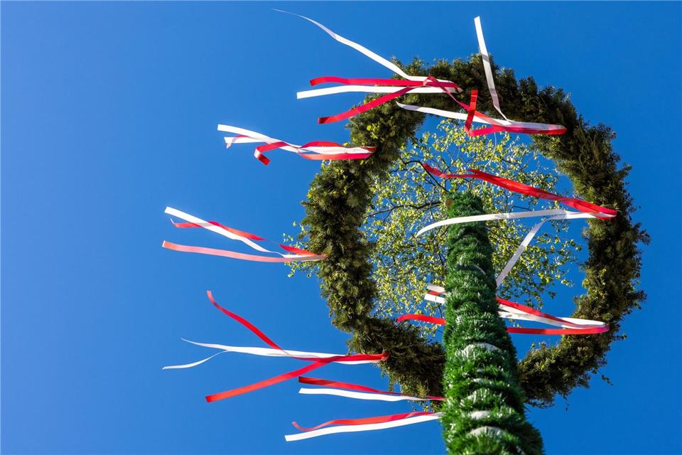 Das hat Tradition: Zum 1. Mai werden vielerorts in Brandenburg Maibäume mit bunten Bändern aufgestellt. Frank Hammerschmidt/dpa