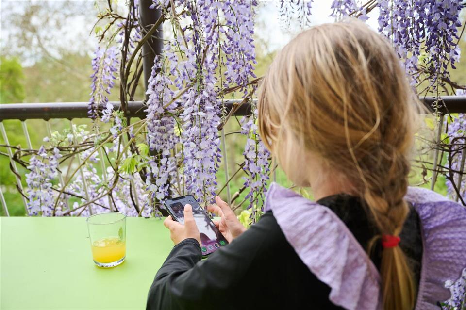 Handyverbot in Hanauer Kitas: Stadt zieht positive Bilanz  Das in den Hanauer Kindertagesstätten eingeführte Verbot von ortbaren Geräten wie Handys und Smartwatches hat sich nach Angaben der Stadt bewährt. (Symbolbild)Annette Riedl/dpa