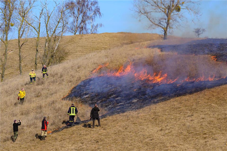 Das kontrollierte Feuer entfernt abgestorbenes Gras aus dem Vorjahr und schafft wieder Licht für Pflanzen.Patrick Pleul/dpa