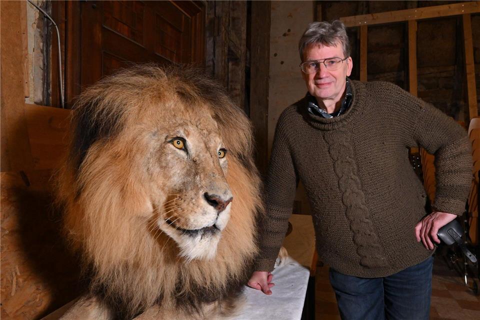 Das letzte Präparat von Mildner wird künftig im Katzenraum von „Tiere im Turm“ auf Schloss Friedenstein dauerhaft seinen Platz finden.Martin Schutt/dpa