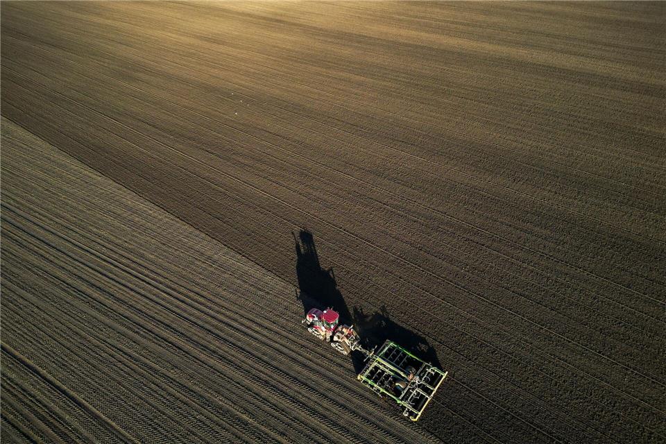 Das momentane Wetter könnte eine gute Ernte bringen. (Symbolbild)Jan Woitas/dpa