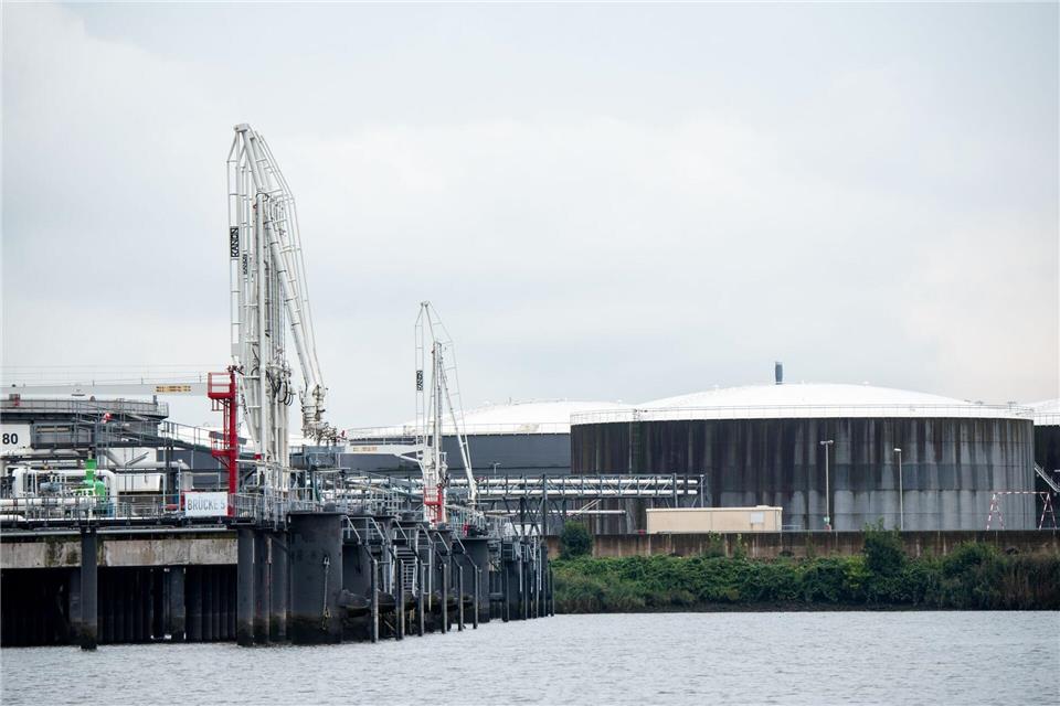Das neue Importterminal soll im Süden des Hafens entstehen. (Archivbild) Daniel Bockwoldt/dpa