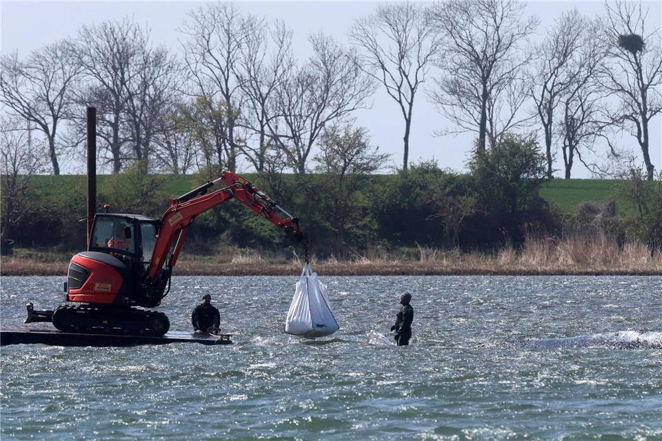 Das neue Konzept der Privatinitiative wird geduldet.Bernd Wüstneck/dpa