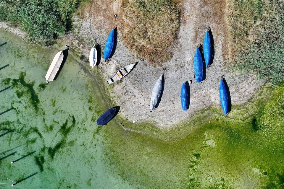 Das seichte Wasser zeigt den niedrigen Wasserstand. Felix Kästle/dpa