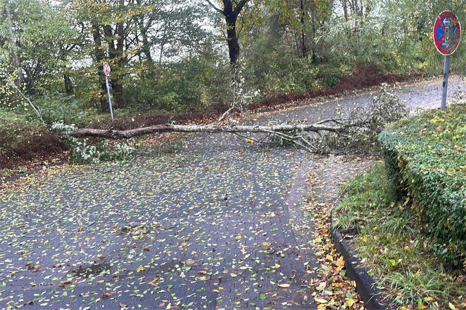 Das stürmische Wetter hat Bäume zum Umfallen gebraucht. Feuerwehr Emden/dpa
