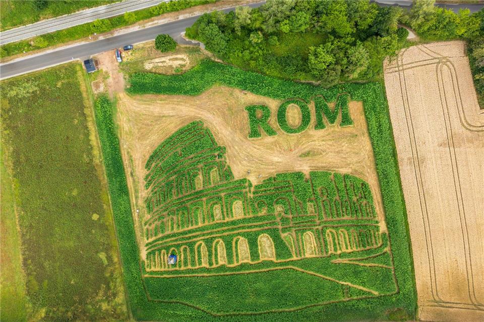 Das traditionelle Uttinger Feld-Labyrinth zeigt dieses Jahr das Kolosseum in Rom. Peter Kneffel/dpa