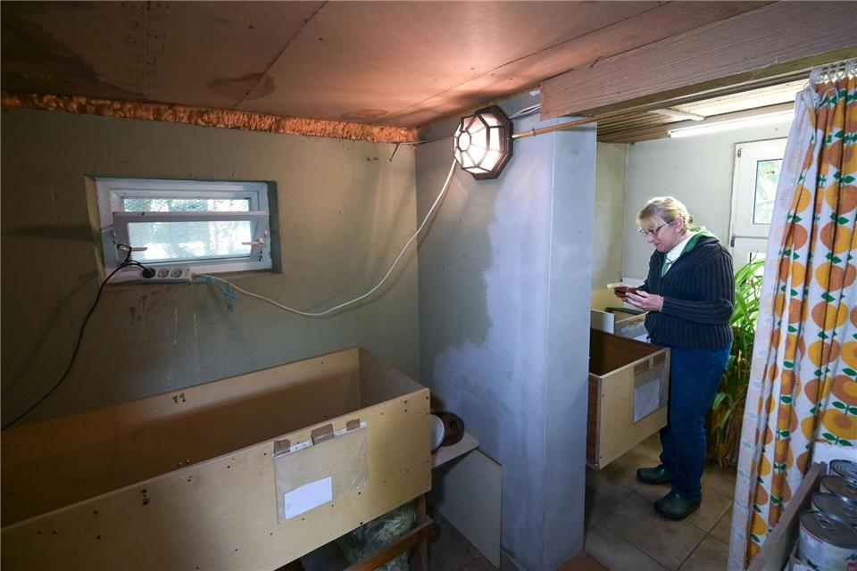 Das umgebaute Gartenhaus dient als Unterkunft für die Tiere.Heiko Rebsch/dpa