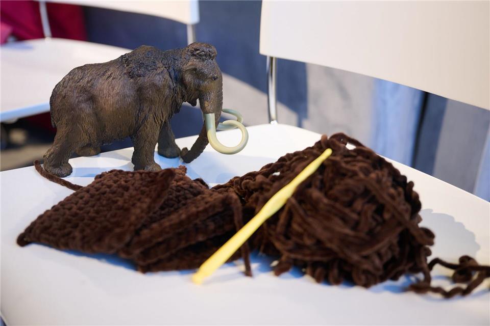 Das umhäkelte Mammut soll im nächsten Jahr Teil einer neuen Sonderausstellung werden.Bernd Thissen/dpa