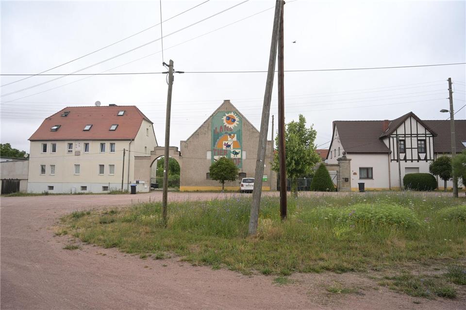 Das vier Jahre alte Mädchen war am Mittwochnachmittag von dem Familienhund im Ortsteil Drosa in der Gemeinde Osternienburger Land attackiert worden. Heiko Rebsch/dpa