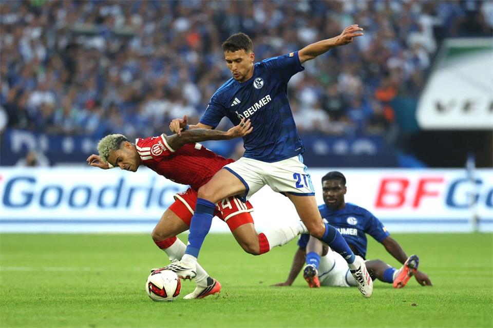 Dejan Ljubicic wird Schalke 04 „bis auf Weiteres“ fehlen.Fabian Strauch/dpa