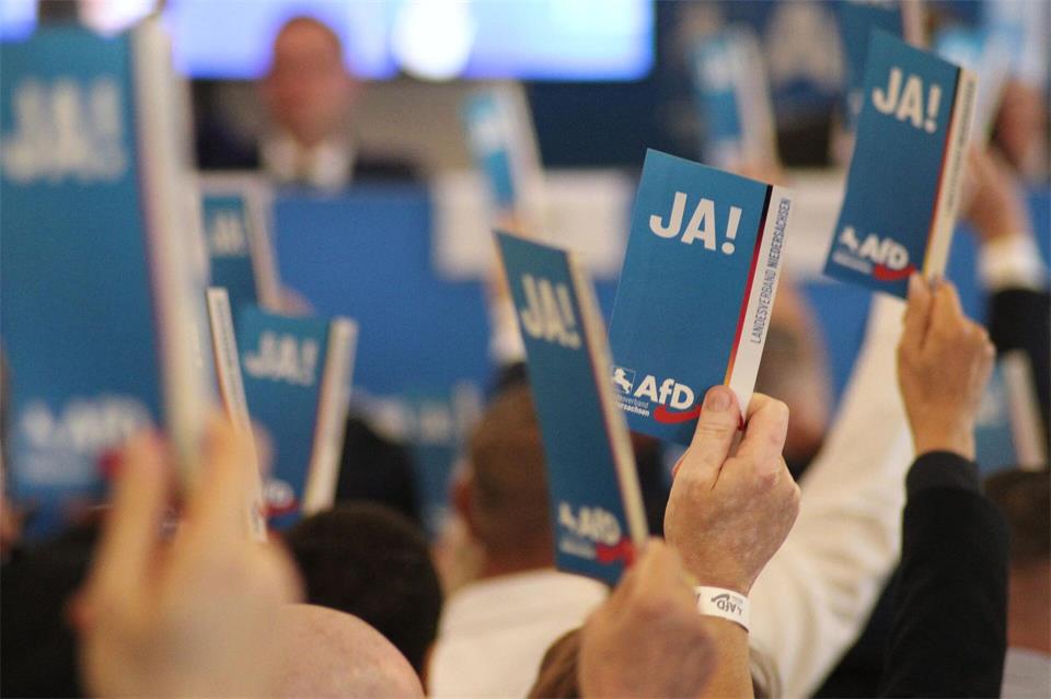Delegierte der AfD stimmen bei der Aufstellungsversammlung zur Landtagswahl ab.Kai Moorschlatt/dpa