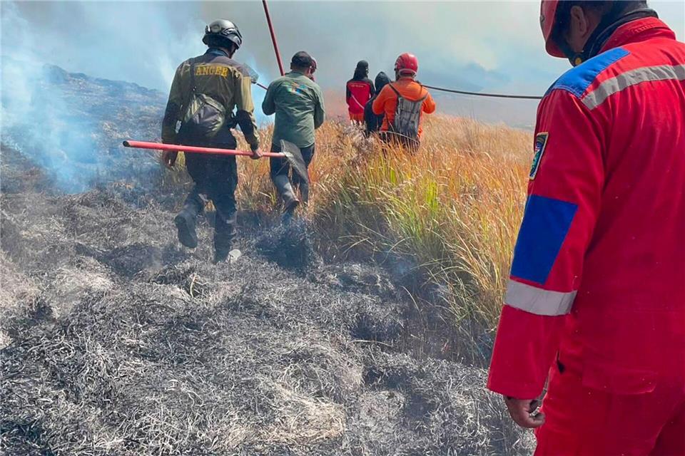 Dem Feuer sind schon 70 Hektar Land zum Opfer gefallen.-/BNPB/dpa
