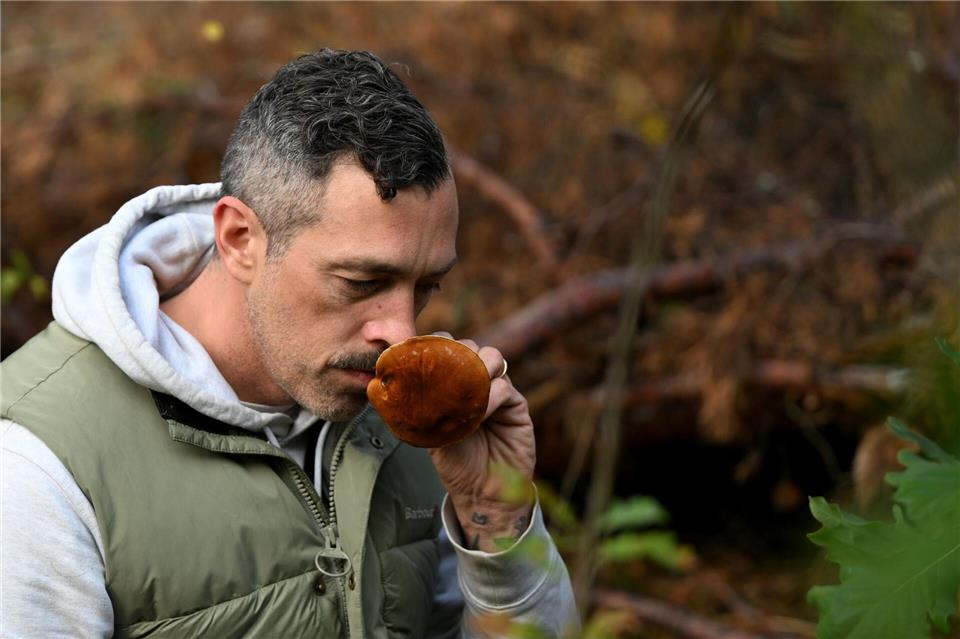 Trendhobby Pilzesammeln: Der Wald als „bullshitfreie Zone“ Dem Influencer folgen auf Instagram Tausende.Lilli Förter/dpa