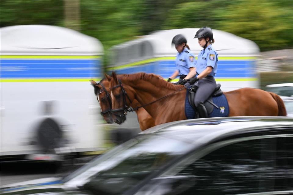 Dem Land Hessen stehen um die 15 bis 20 Dienstpferde zur Verfügung. (Archivbild)Arne Dedert/dpa