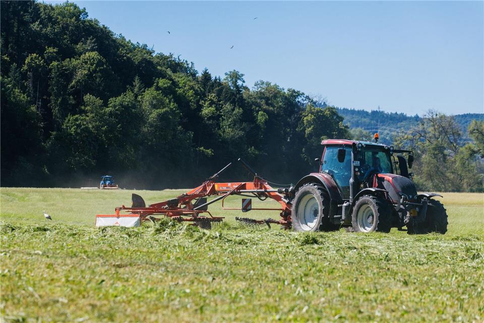 Den Bauern machen gesunkene Preise und hohe Kosten zu schaffen. (Archivbild)Philipp von Ditfurth/dpa