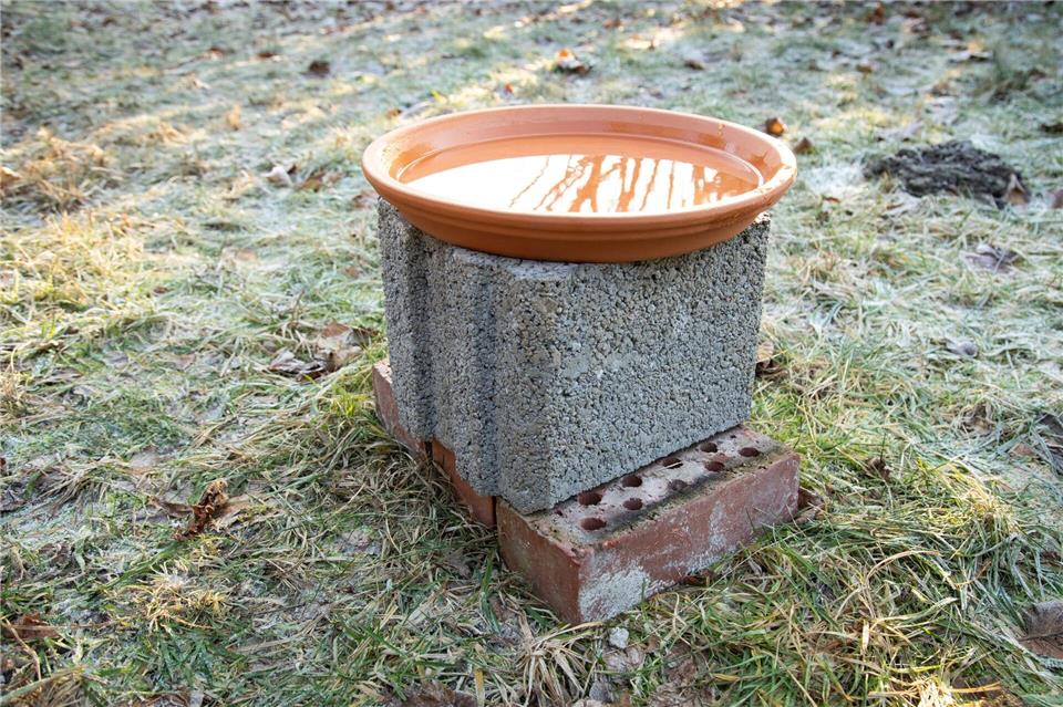 Den Blumenuntersetzer auf dem Pflanzstein platzieren und mit Wasser füllen - fertig.Christin Klose/dpa-tmn