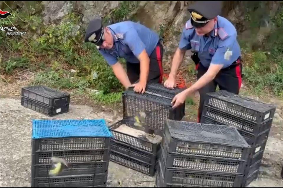 Den Einsatzkräften fiel der Kleintransport bei einer Verkehrskontrolle auf.---/Carabinieri Reggio Calabria/dpa