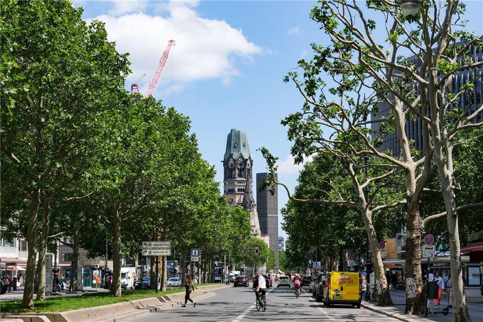 Den Straßenbäumen geht es in Berlin ein wenig besser als noch 2020. (Symbolbild)Jens Kalaene/dpa-Zentralbild/dpa