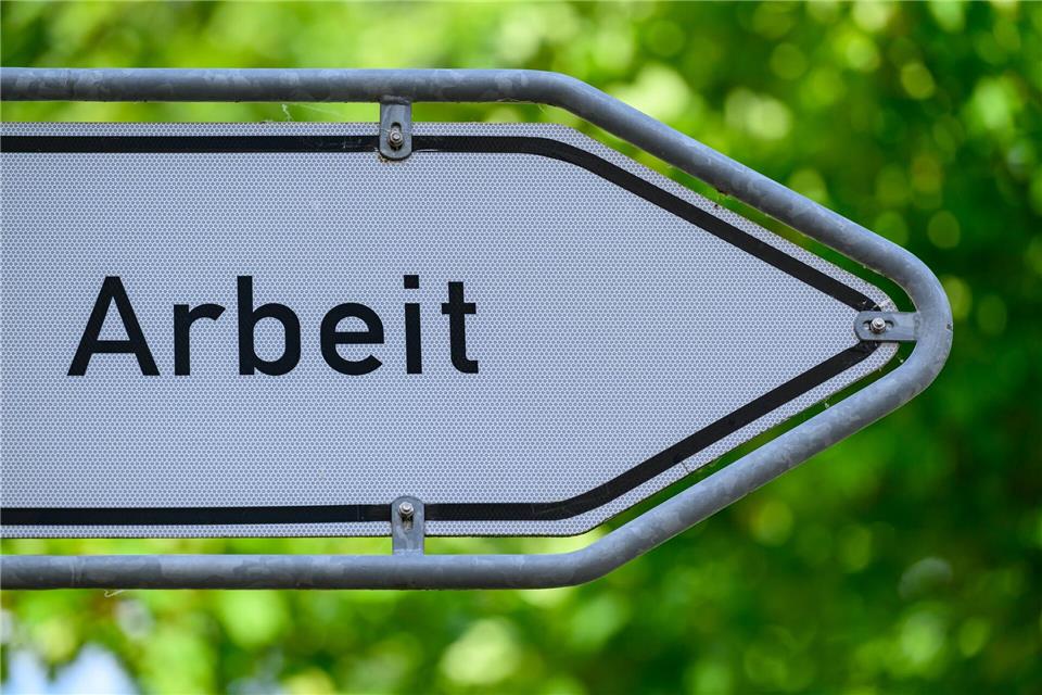 Den stärksten Rückgang der Arbeitslosigkeit gab es bei jüngeren Menschen. (Archivfoto)Patrick Pleul/dpa