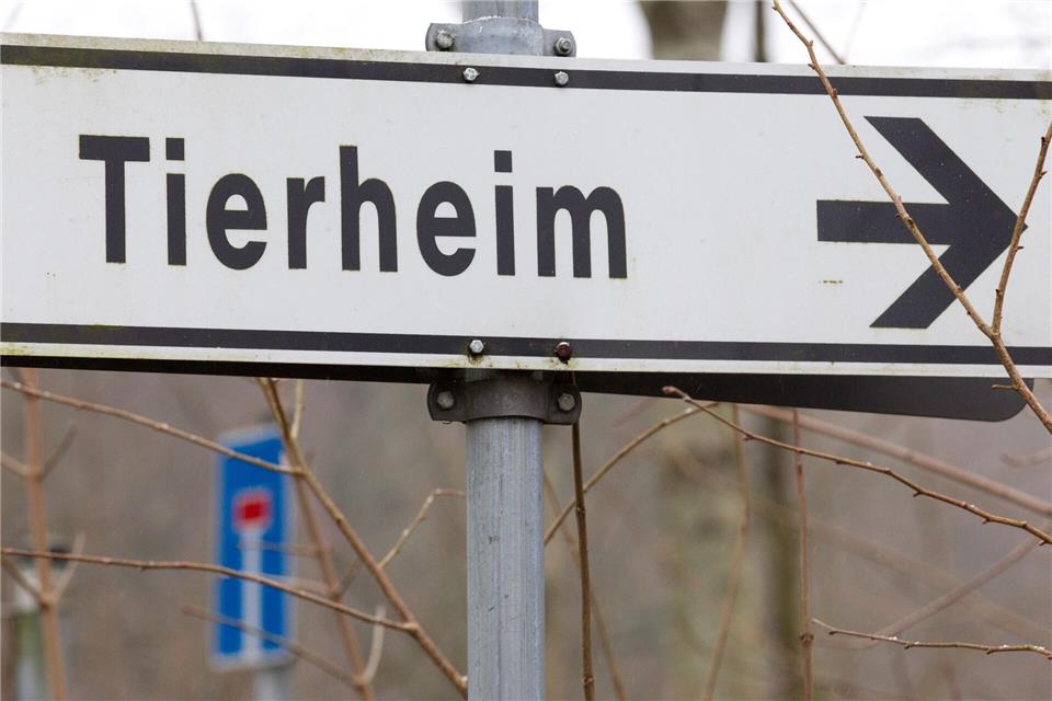Der 43-Jährige gab an, das Tier in einem Ort in der Region gefunden zu haben. (Symbolbild)Friso Gentsch/dpa
