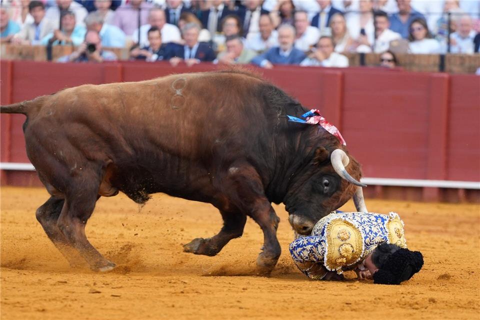 Der 46-Jährige erlitt nach Angaben des zuständigen Arztes sehr schwere Verletzungen.Joaquín Corchero/EUROPA PRESS/dpa