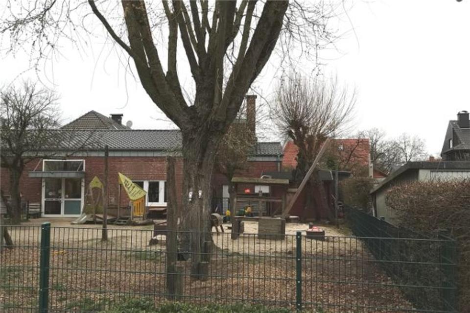 Der Ahorn soll einer Garage weichen, seine Wurzeln haben aber auch die Abwasserleitung beschädigt.