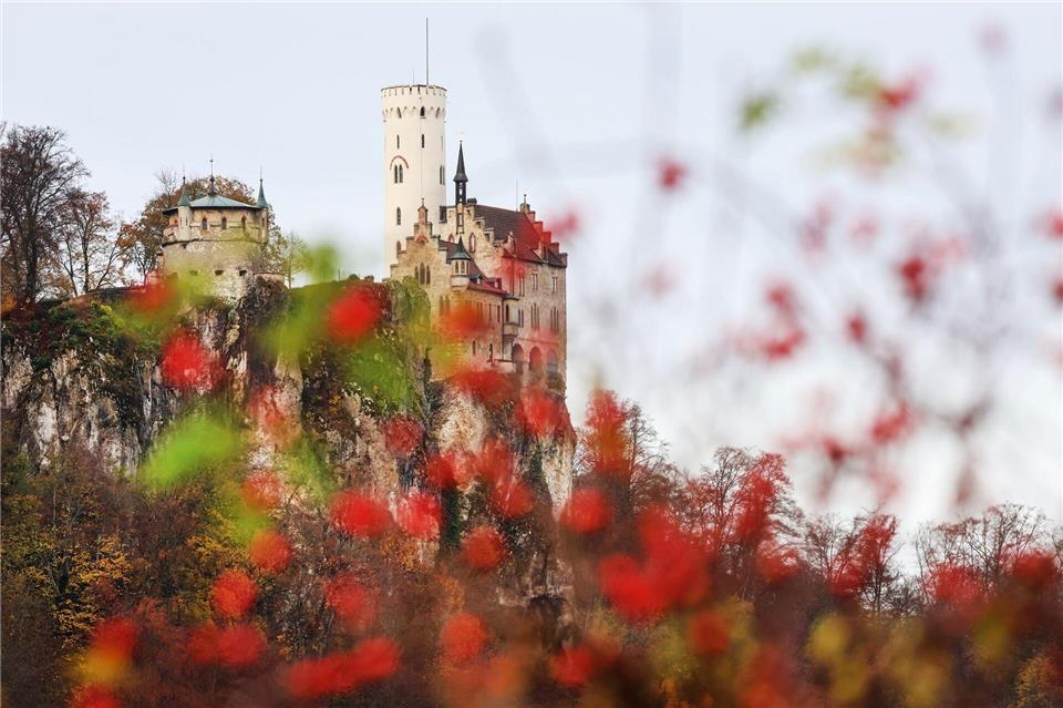 Der Albaufstieg bei Schloss Lichtenstein ist nach einem Steinschlag gesperrt. (Archivbild)Thomas Warnack/dpa