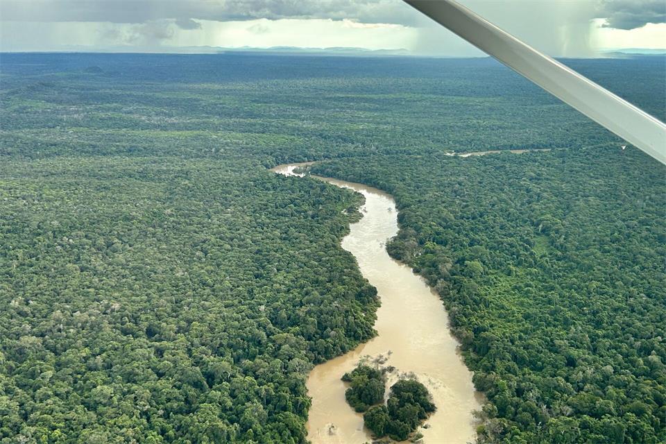 Der Amazonas-Regenwald steht beim Wahlkampf dieses Jahr weniger im Fokus. (Archivbild)Philipp Znidar/dpa