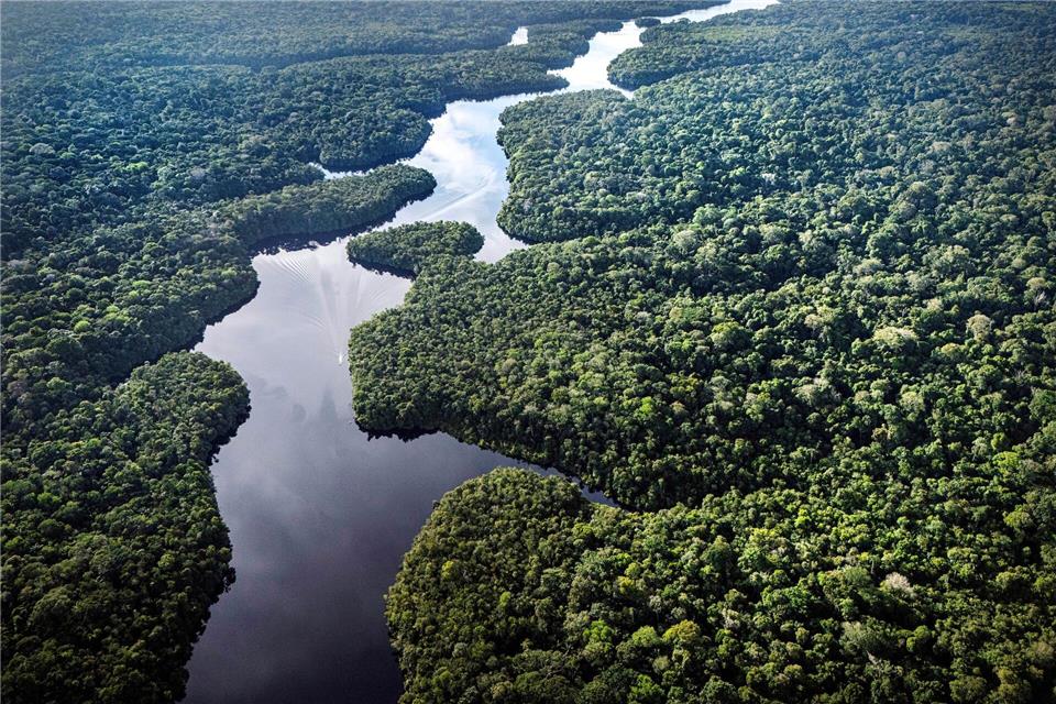 Der Amazonas: extrem wichtig fürs Klima, aber enorm unter Stress. (Archivbild)Jorge Saenz/AP/dpa