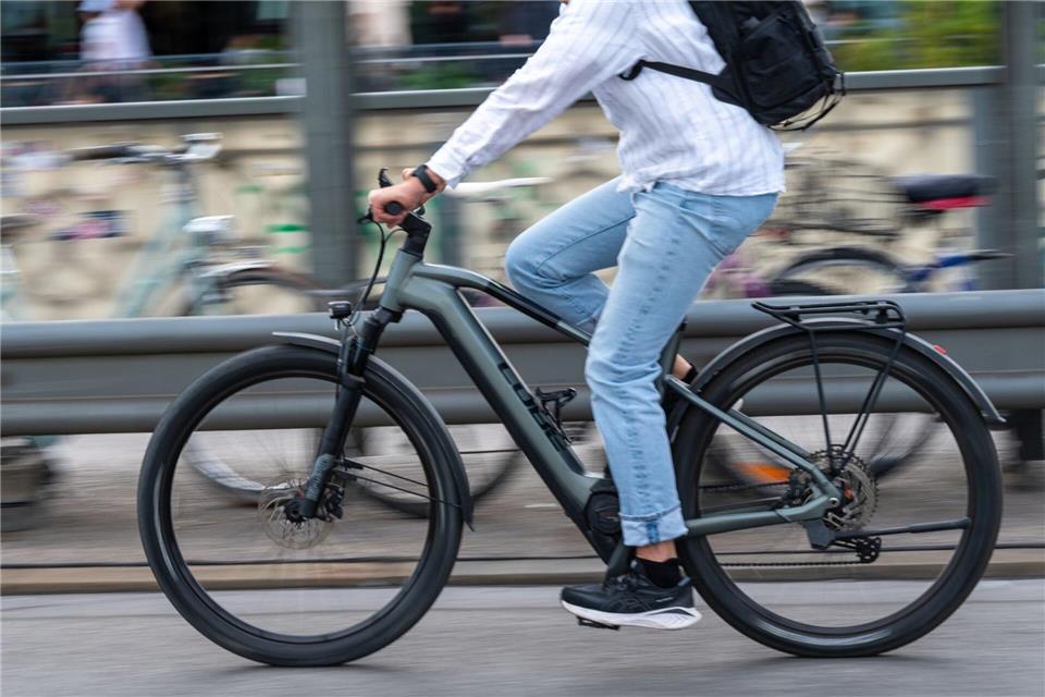 Der Anteil der E-Bike-Besitzer steigt auch in Rheinland-Pfalz. (Symbolfoto)Leonie Asendorpf/dpa