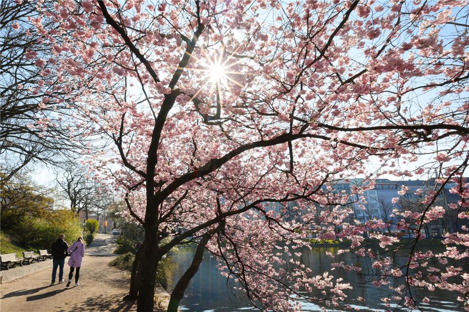 Der April lockte die Hamburger nach draußen. (Archivbild)Christian Charisius/dpa